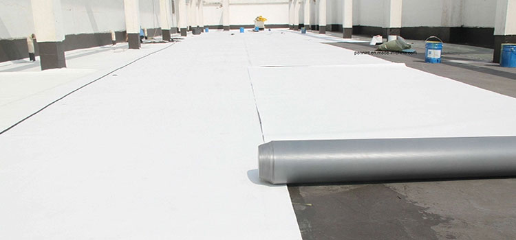 Thermoplastic Polyolefin Roofing Hawthorne